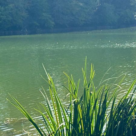 Lac De Lumiere. Relax With Rural Lakeside Living Herry Ngoại thất bức ảnh