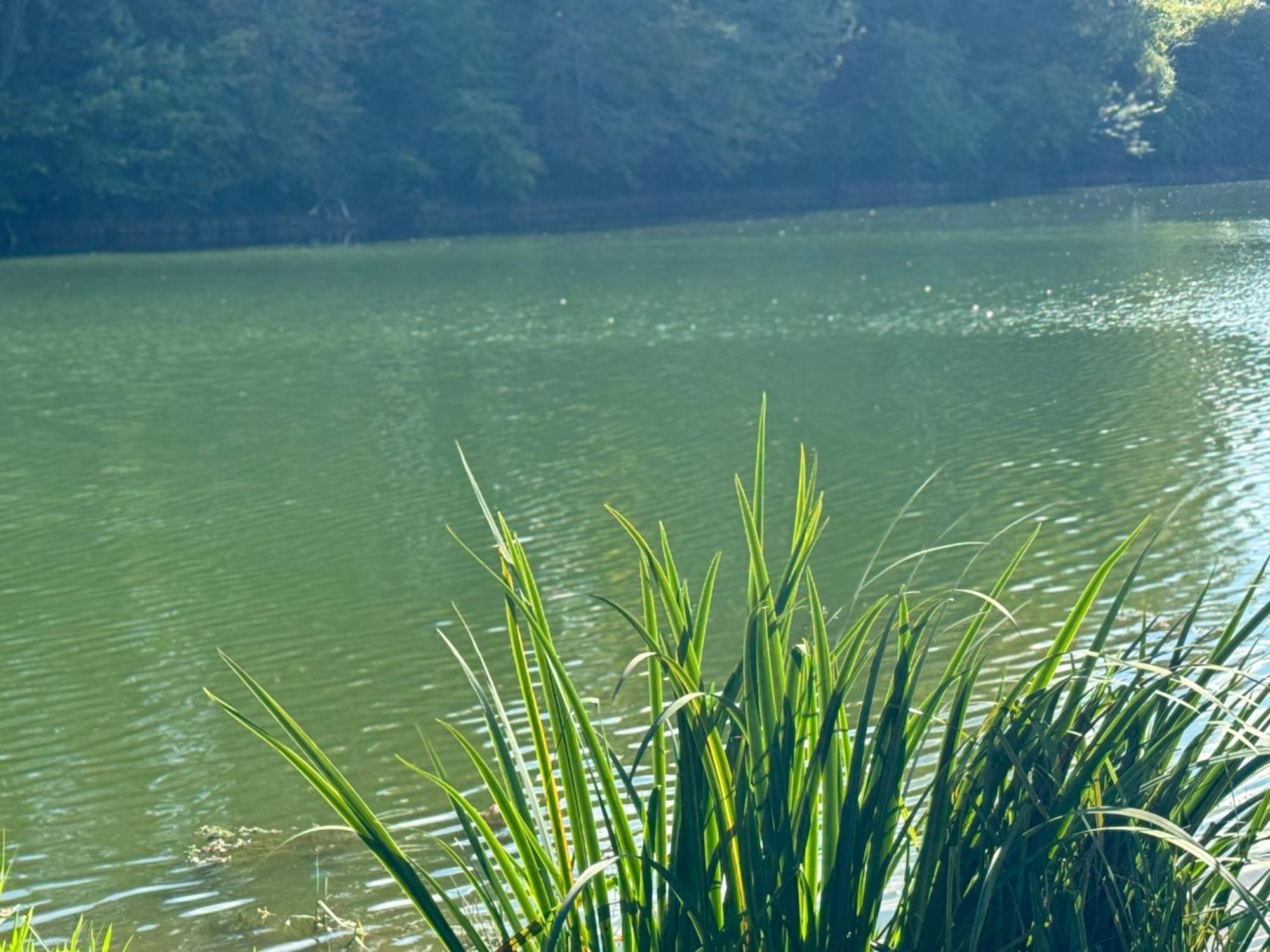 Lac De Lumiere. Relax With Rural Lakeside Living Herry Ngoại thất bức ảnh